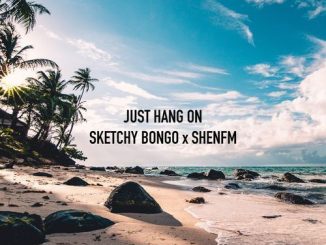 Sketchy Bongo - Just Hang On