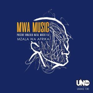 VA – Kwazulu Natal Music