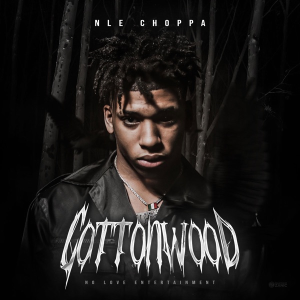 ALBUM: NLE Choppa - Cottonwood