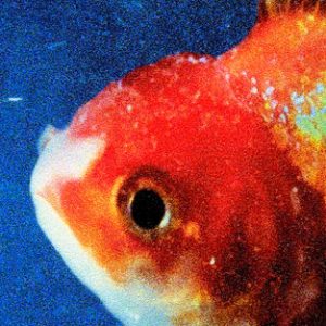 ALBUM: Vince Staples - Big Fish Theory