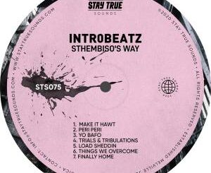 Intr0beatz – Sthembiso’s Way