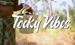 Tocky Vibes – Wadhakwa Nge Doro