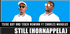 Tsebe Boy - Still (Hornappela) Ft. Charles Mkhulu & Tebza Ngwana