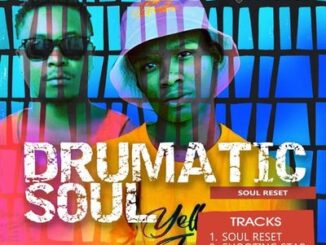 Drumatic Soul - Soul Reset (Original Mix)