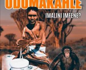 Dumakahle - Uthando Lwakudala (Instrumental)