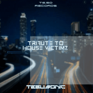 Tebu.Sonic - Tribute to House Victimz