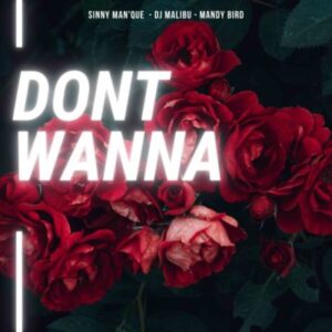 Sinny Man’Que – Don’t Wanna Ft. DJ Malibu & Mandy Bird