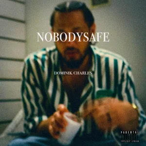 nobodysafe-dominik-charles