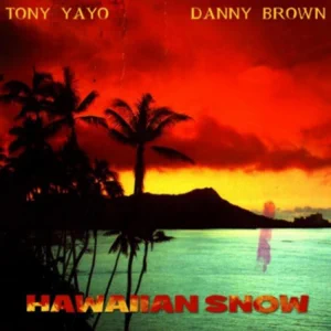 tony-yayo-danny-brown-lil-b-hawaiian-snow