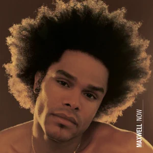 maxwell-now