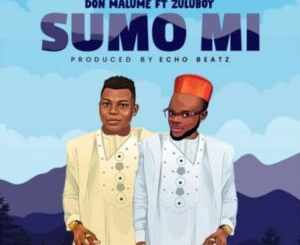 don-malume-–-sumo-mi-ft.-zuluboy
