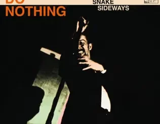 Do Nothing – Snake Sideways
