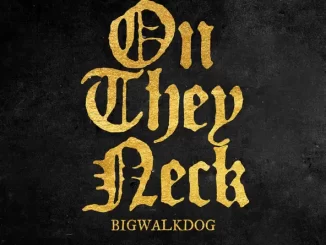 BigWalkDog - On They Neck