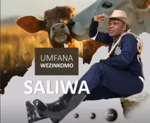 Saliwa - Umfana Wezinkomo