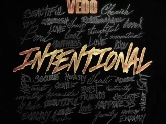 Vedo - Intentional