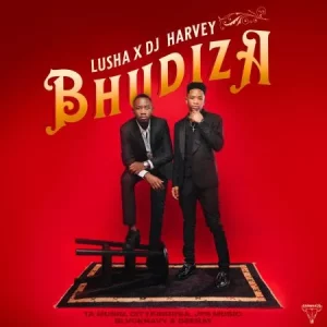 DJ Harvey & Lusha - Bhudiza ft TA MusiQ, Citykingrsa, JFS Music, Blvcknavy & Deeray