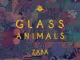 Glass Animals – ZABA (Deluxe)