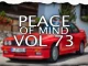 DJ Ace - Peace of Mind Vol. 73 (Sunday Chill Vibes Slow Jam Mix)