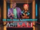 Dr Malinga & Shebeshxt - Asilali ft. Seven Step, Lebza Mfana, Naqua & 1stLady k