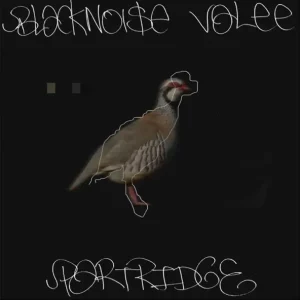  Black Noi$e & Valee – Partridge