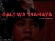 Toxic Soul & Angie West – Dali Wa Tsamaya ft Musa De Guitarist & Legit Folks MusiQ