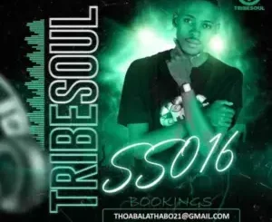 TribeSoul – Selektive Sessions 016 Mix